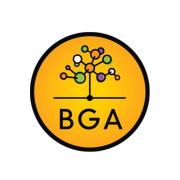 BGA: Design Mark